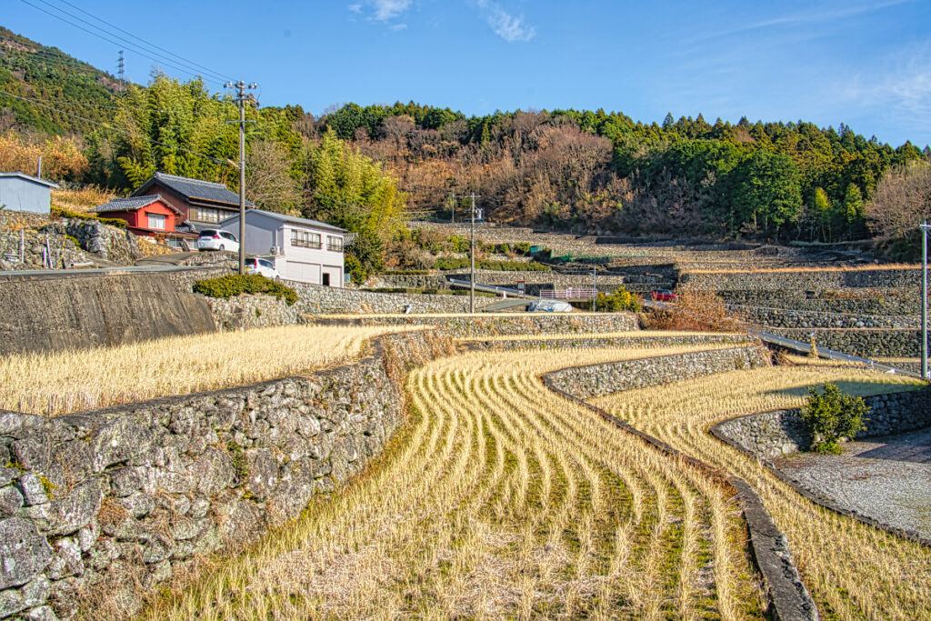 深野のだんだん田 三重県