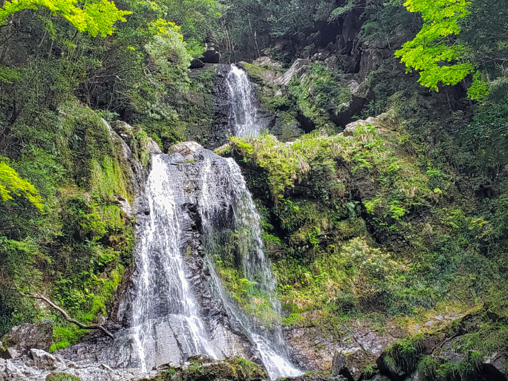 中津谷の滝 和歌山県