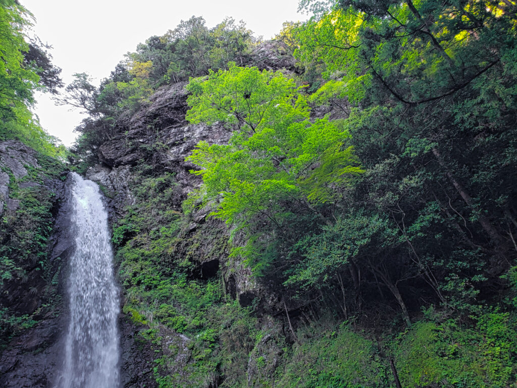 大荒の滝 高知県