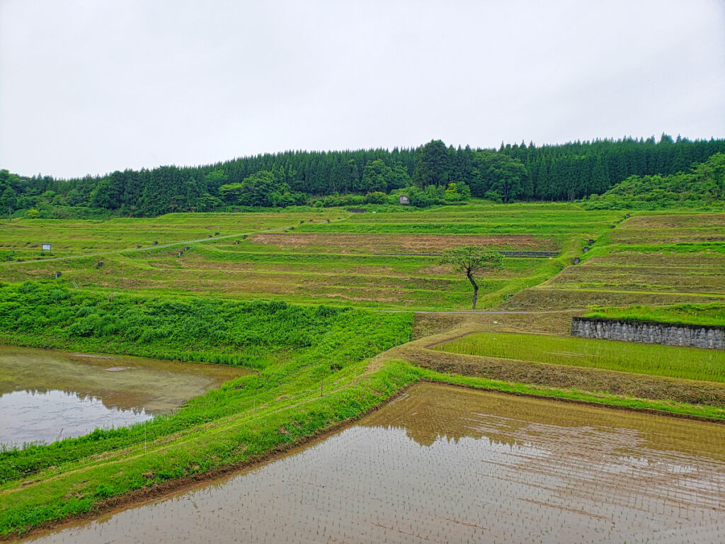 長坂の棚田 富山県