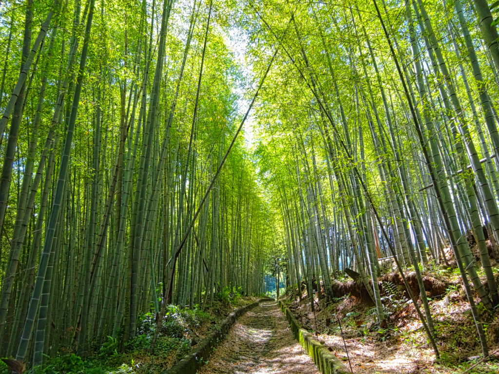 石畳の道(夏目漱石 草枕の道) 熊本県