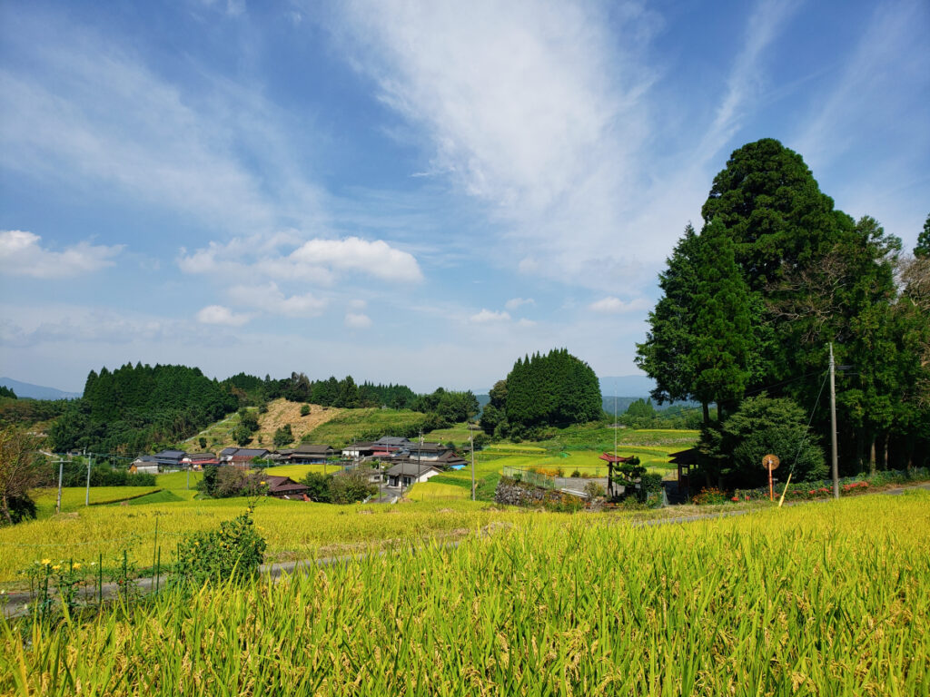 菅迫田の棚田 熊本県
