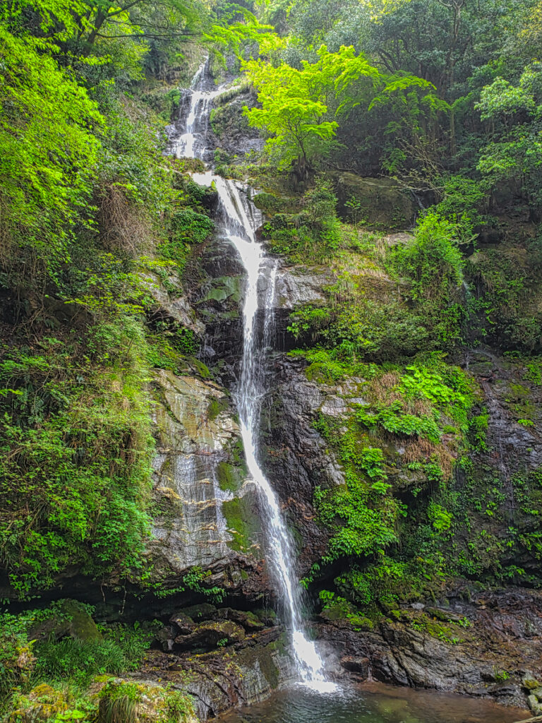鳴滝 徳島県