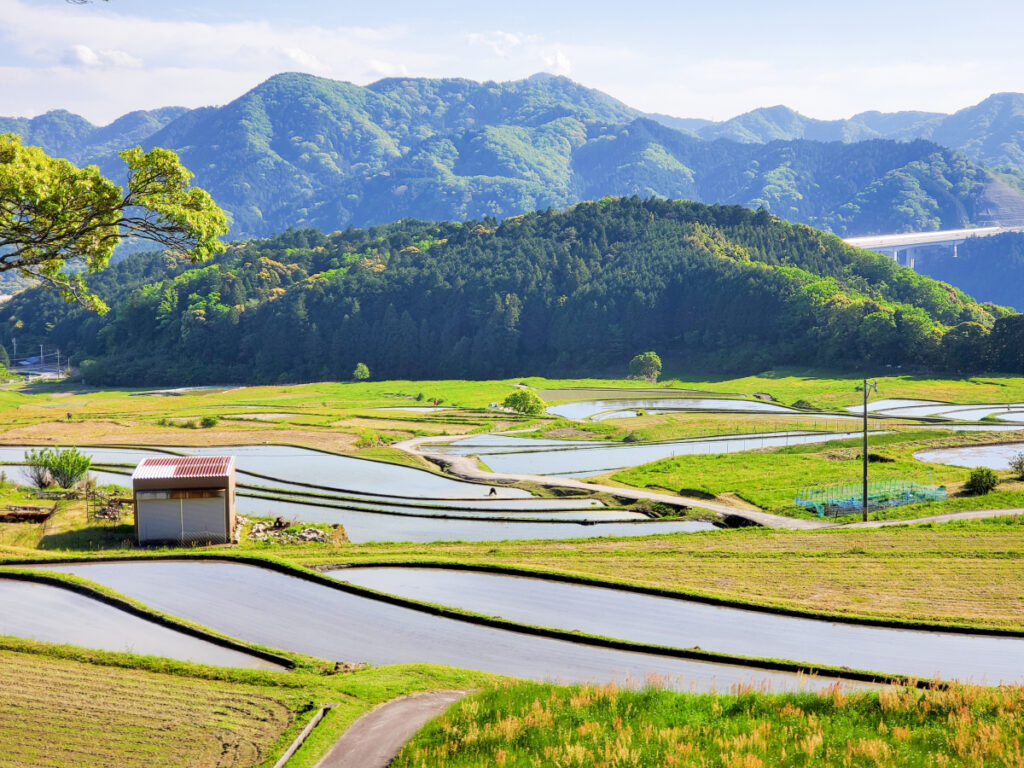 坂本棚田 展望台 三重県