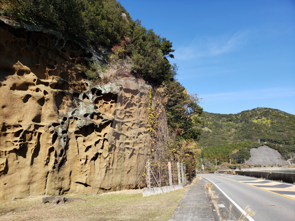 蜂の巣壁 和歌山県