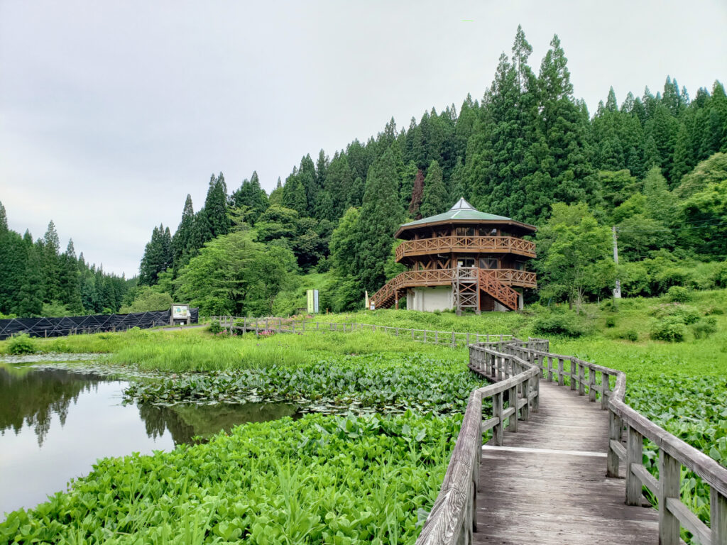 たきがしら湿原 新潟県
