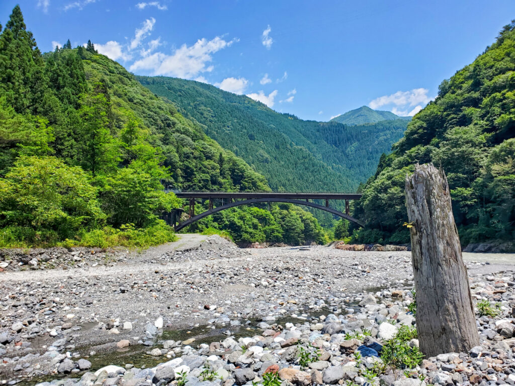遠山川の埋没林 長野県