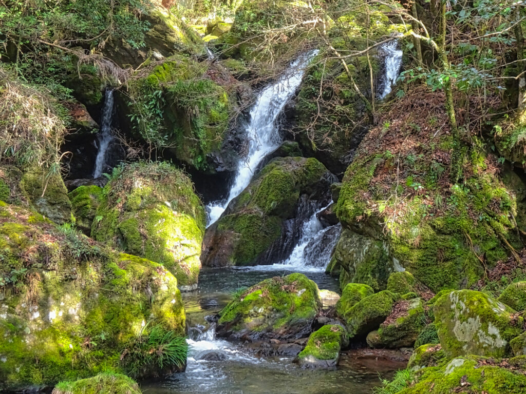 清水瀑園 大分県