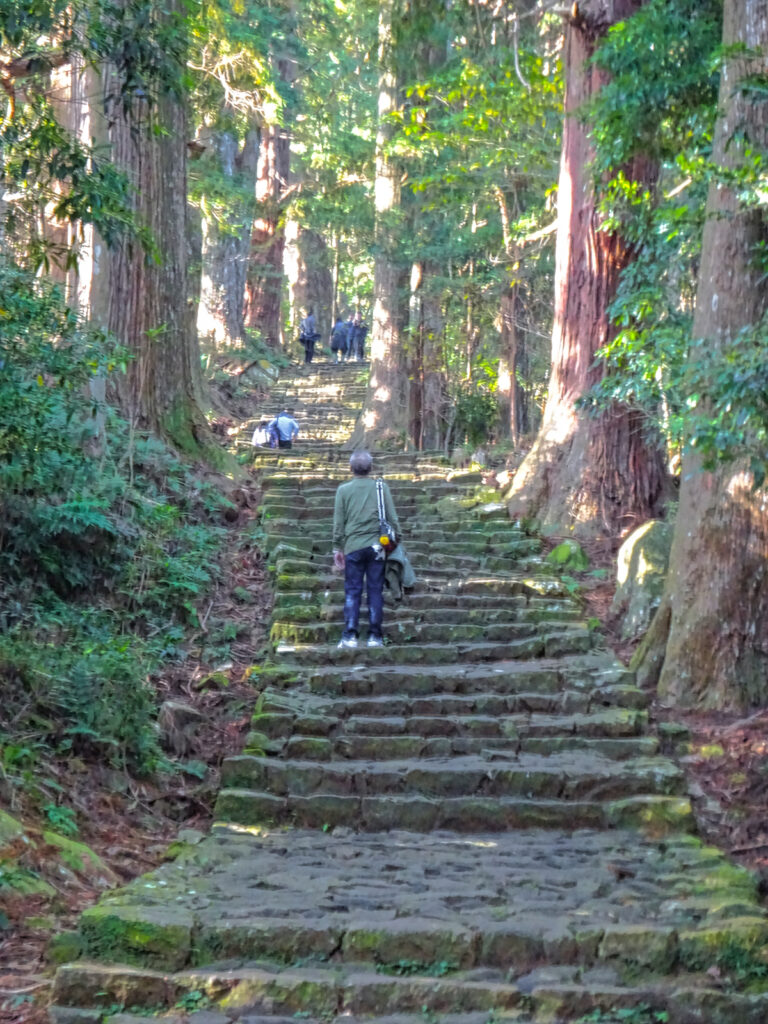 熊野古道 大門坂 和歌山県