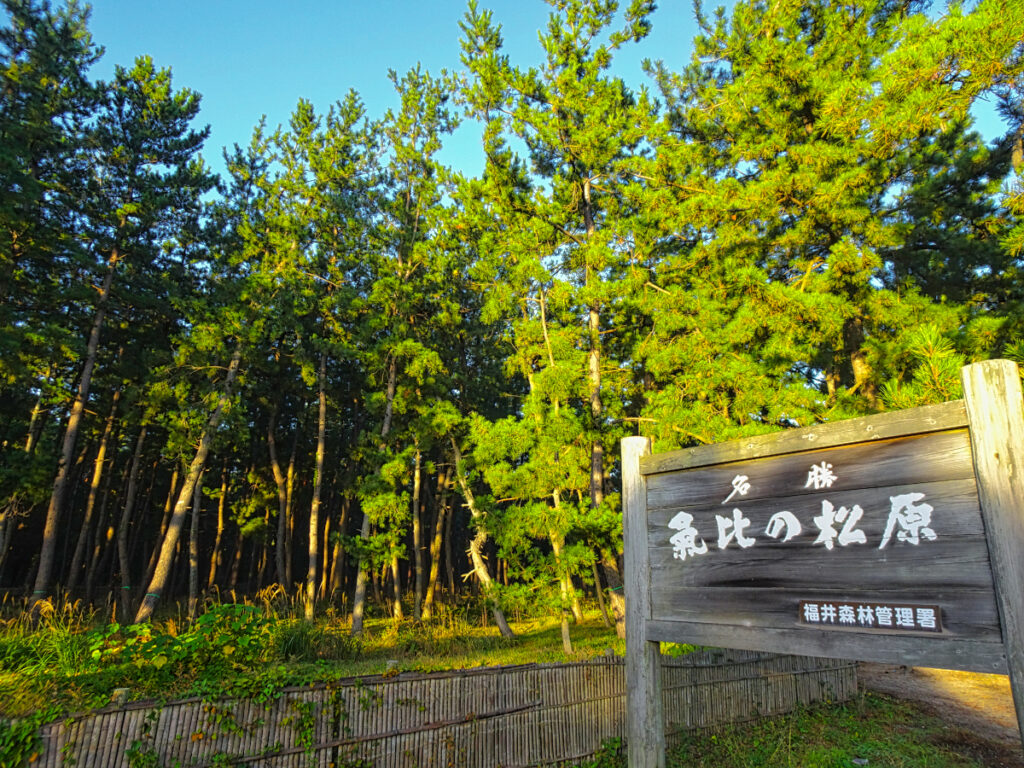 気比の松原 福井県