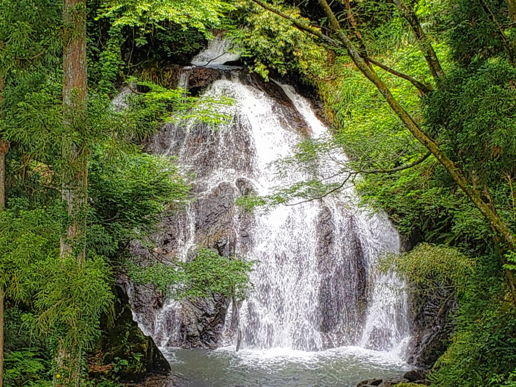勝蓮花の滝 福井県