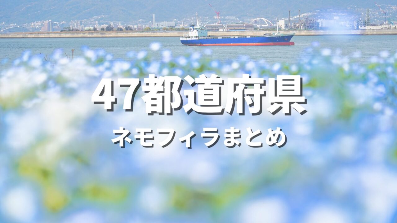 【全国】ネモフィラが綺麗な絶景ドライブ・観光名所スポット