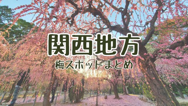 関西梅林・梅園スポット