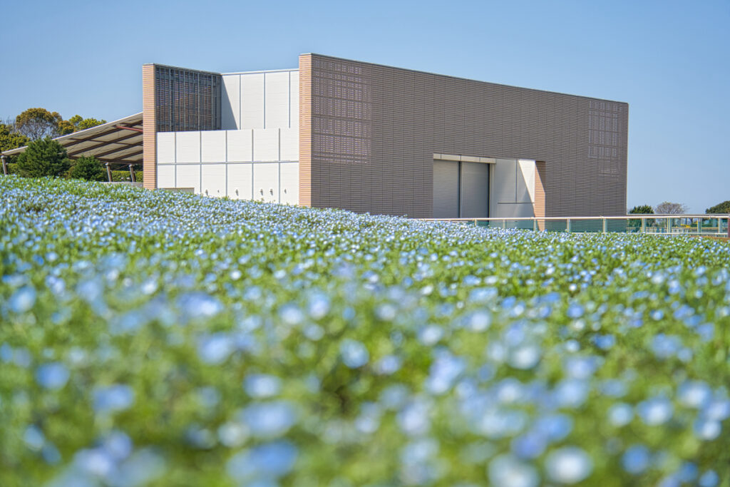 浜名湖ガーデンパーク 静岡県