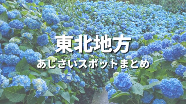 【東北】紫陽花の有名スポットを巡る絶景ドライブ・あじさい観光スポット
