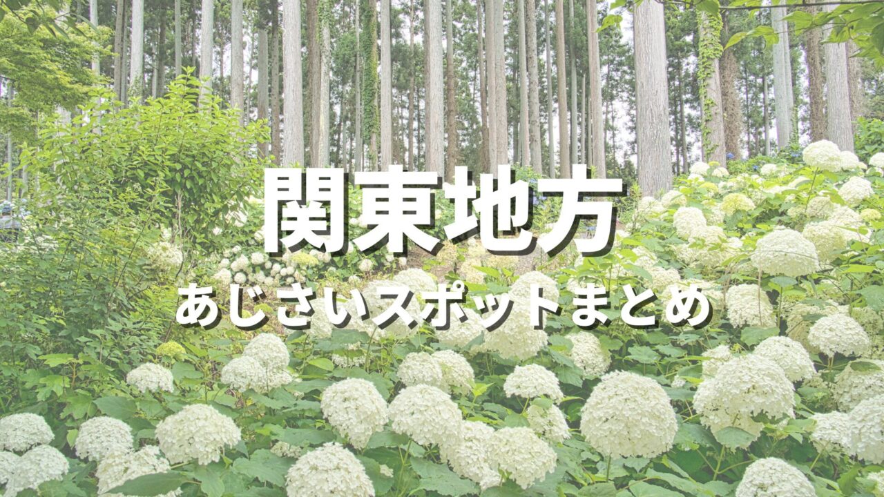 【関東】紫陽花の有名スポットを巡る絶景ドライブ・あじさい観光スポット