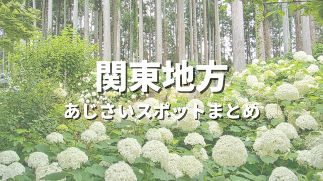【関東】紫陽花の有名スポットを巡る絶景ドライブ・あじさい観光スポット