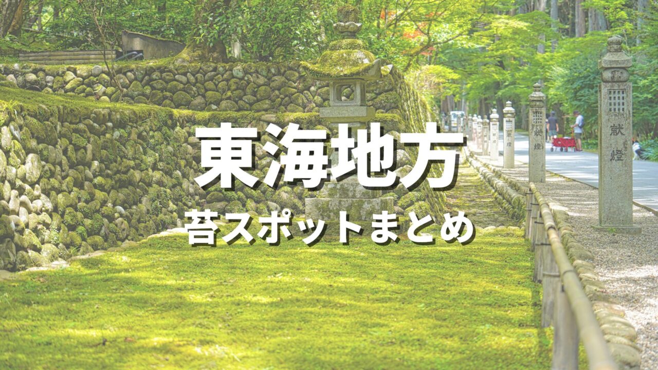 【東海】苔の綺麗な場所を巡る緑の絶景・観光名所スポット