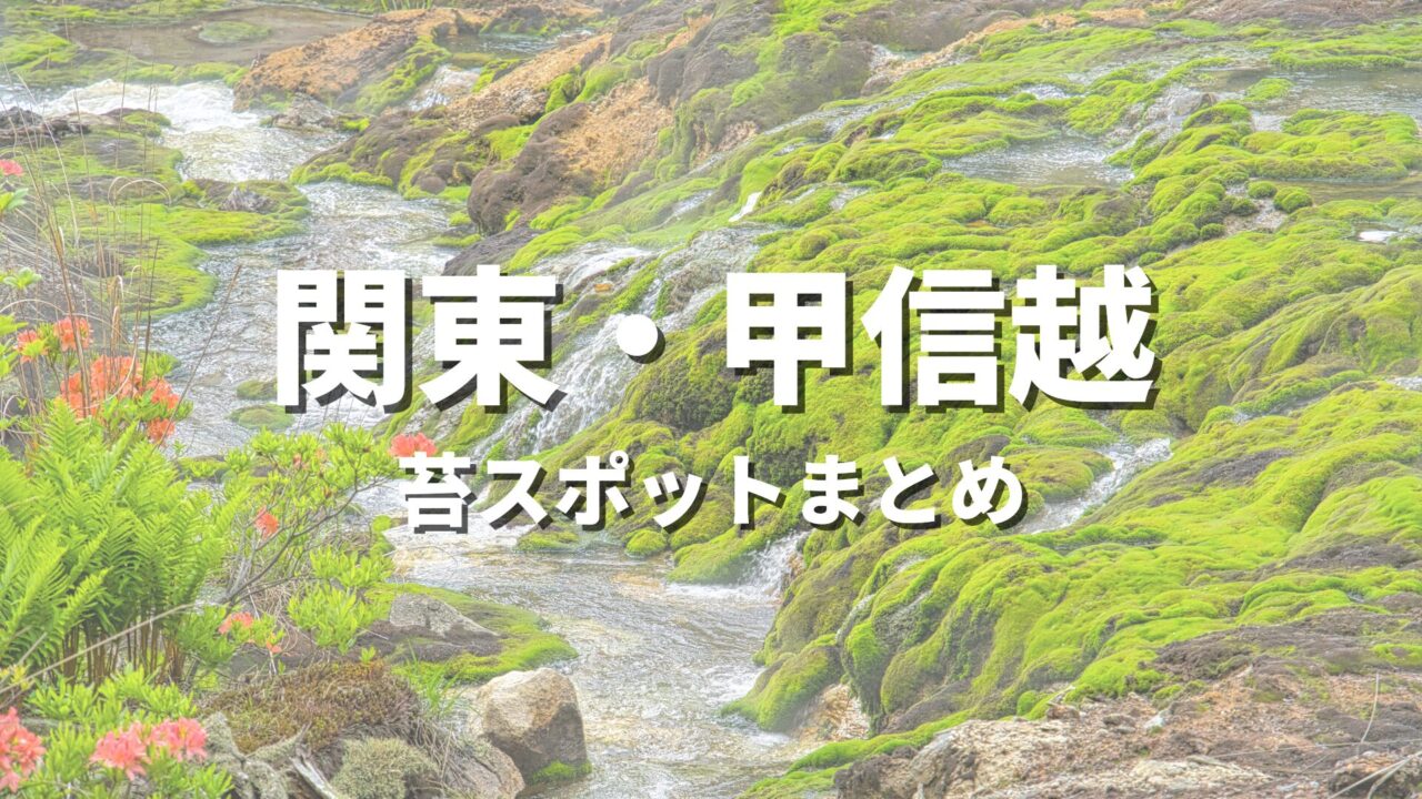 【関東・甲信越】苔の綺麗な場所を巡る緑の絶景・観光名所スポット