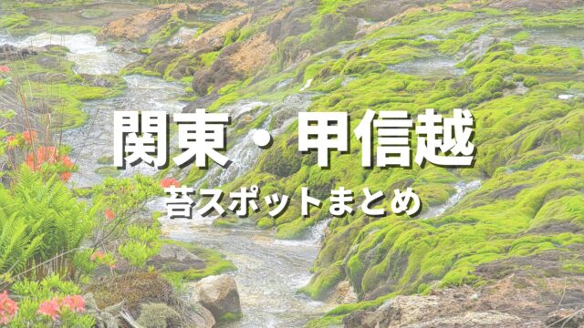 【関東・甲信越】苔の綺麗な場所を巡る緑の絶景・観光名所スポット