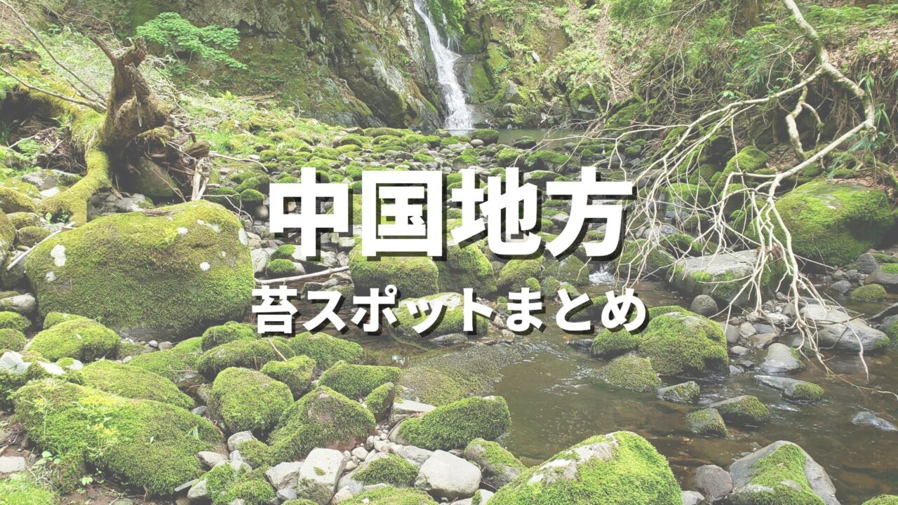 【中国地方】苔の綺麗な場所を巡る緑の絶景・観光名所スポット