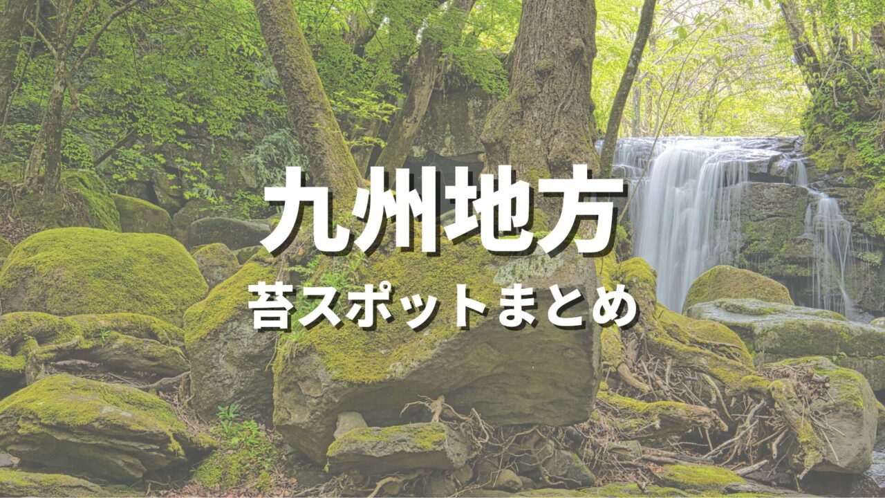 【九州】苔の綺麗な場所を巡る緑の絶景・観光名所スポット