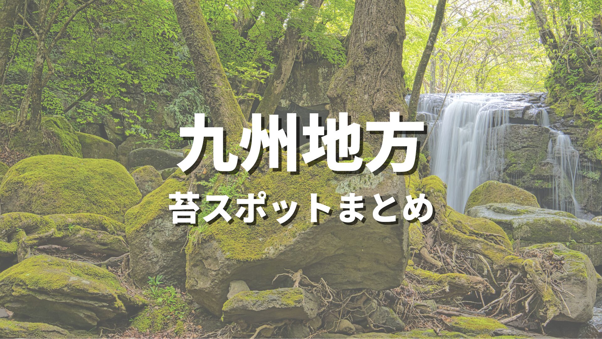 九州】美しい苔スポット完全ガイド｜苔寺・苔庭の名所から大自然の