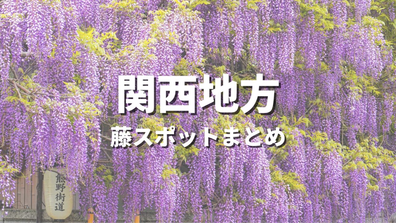 【関西】藤の花が美しい絶景ドライブ・観光名所スポット