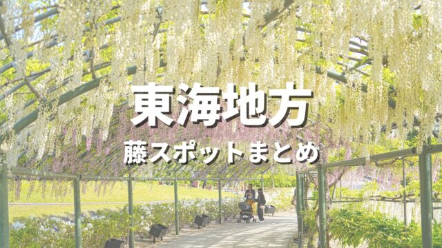 【東海】藤の花が美しい絶景ドライブ・観光名所スポット
