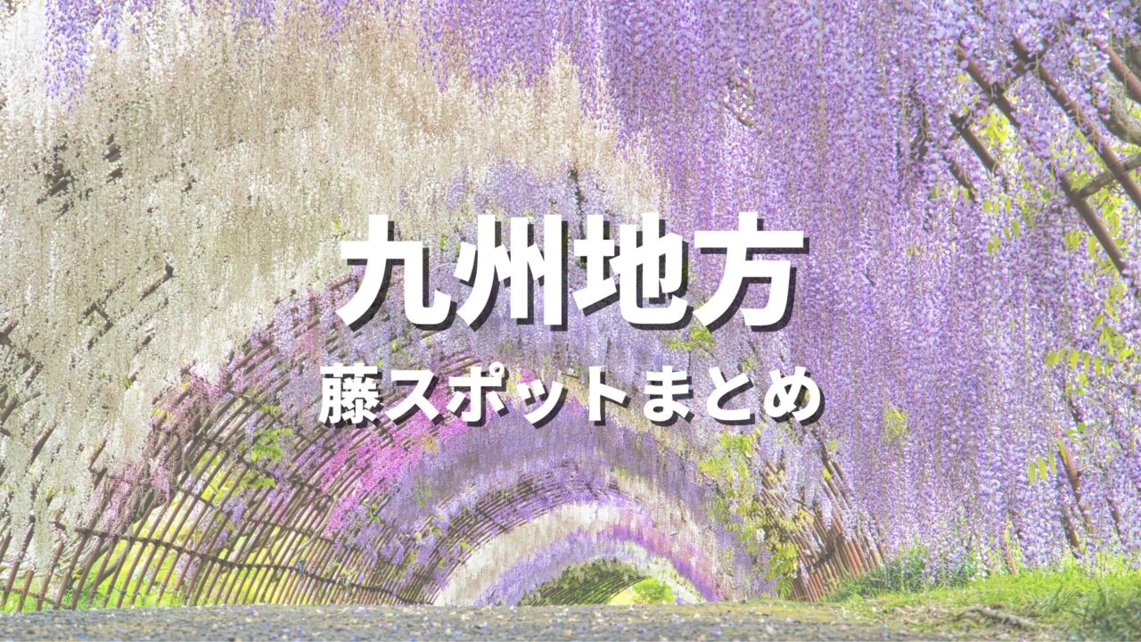 【九州】藤の花が美しい絶景ドライブ・観光名所スポット