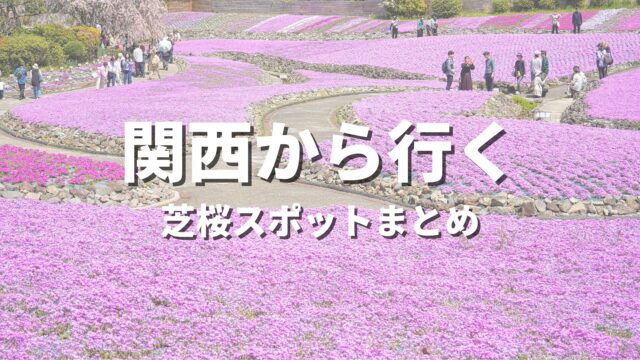 【関西から行く】芝桜まつりや美しい絶景が楽しめる観光名所スポット