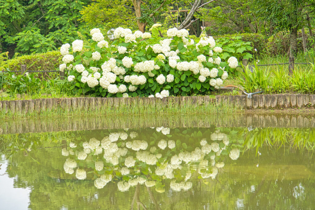 於大公園 愛知県