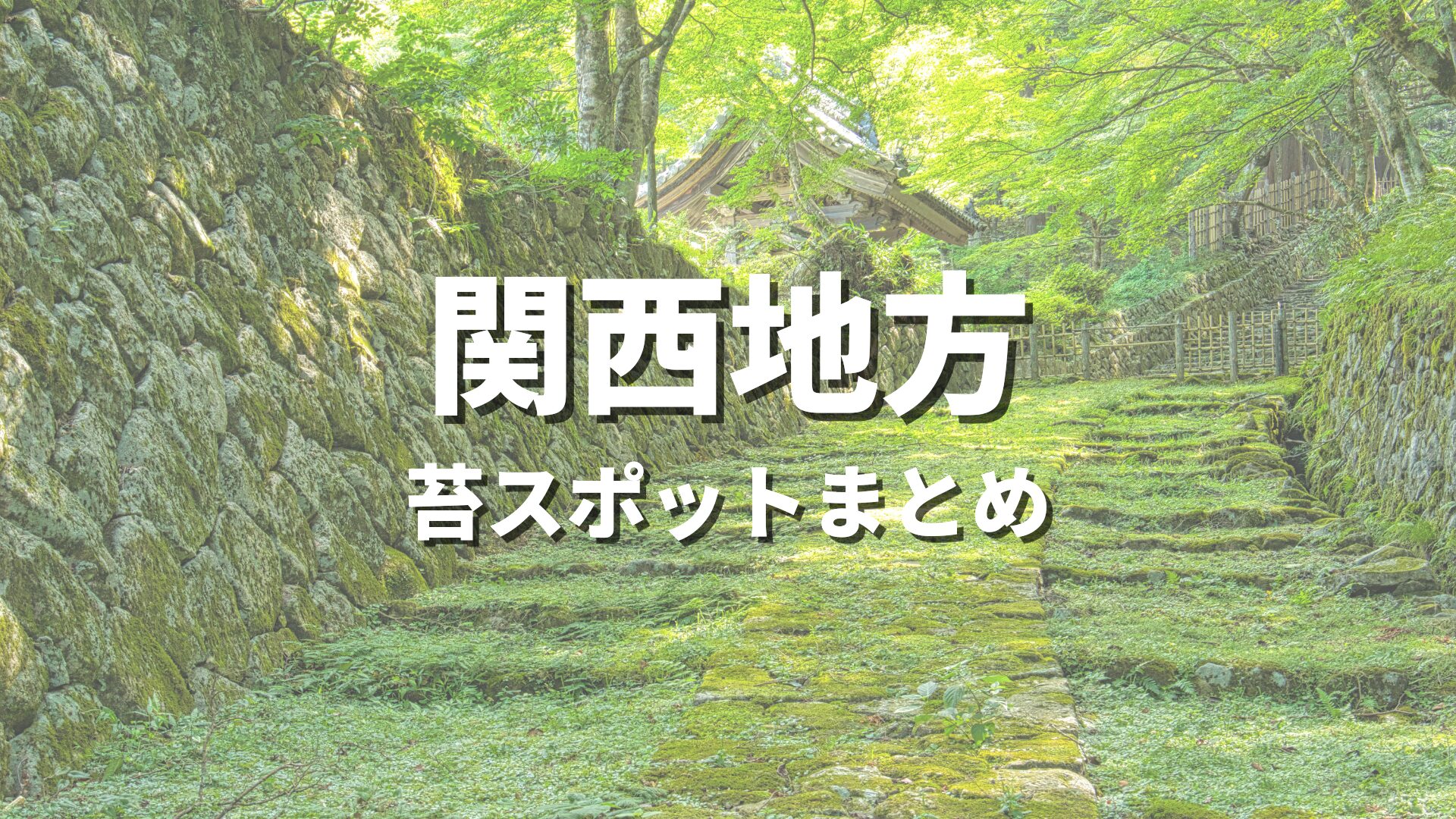関西】美しい苔スポット完全ガイド｜苔寺・苔庭の名所から大自然の