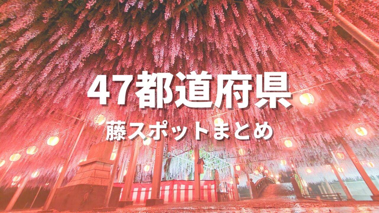【全国】藤棚の有名な所を巡る絶景観光ドライブ！写真撮影したい名所・おすすめスポット