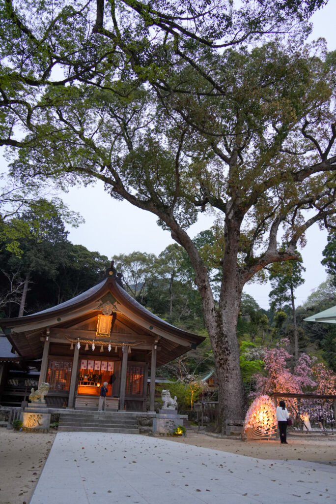 宝満宮 竈門神社 福岡県