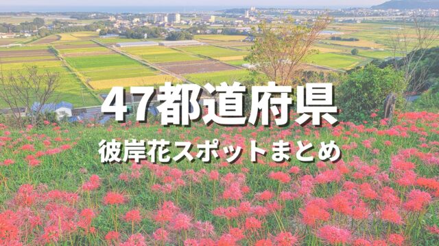 【全国】彼岸花スポット・名所特集｜彼岸花の綺麗なところ・撮影スポットおすすめ絶景まとめ
