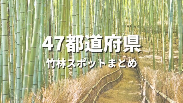 【全国】竹林の絶景・おすすめ観光名所まとめ！インスタ映えする和の癒やし・撮影スポット