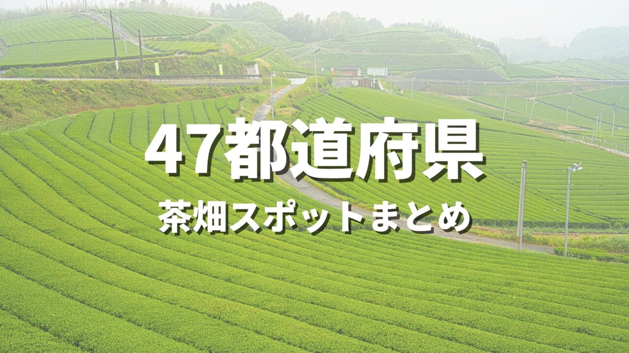 【全国】茶畑の絶景・おすすめ観光名所まとめ！インスタ映えする緑の絨毯・撮影スポット