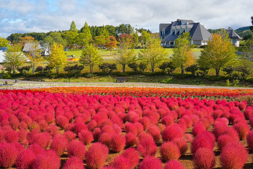 牧歌の里_岐阜県