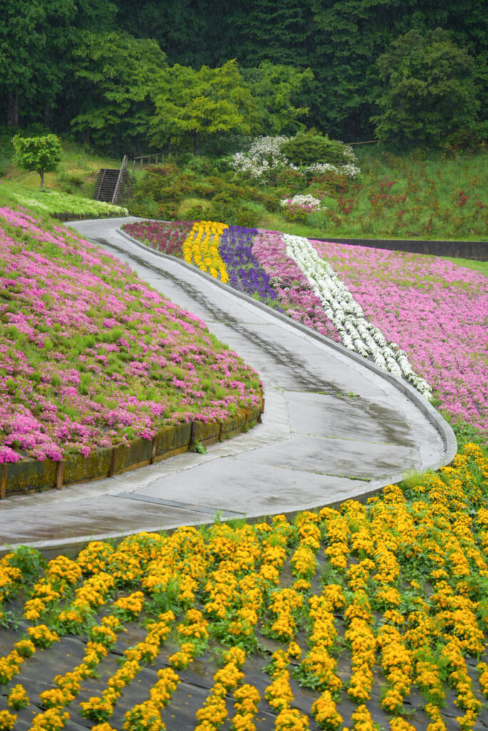 ジュピアランドひらた 芝桜 福島県