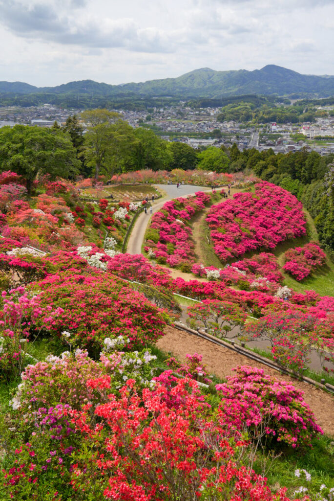 笠間つつじ公園 茨城県