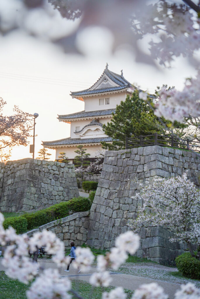 丸亀城 桜 香川県