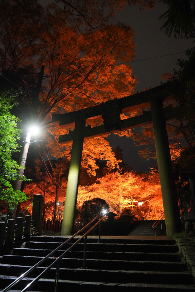金崎宮 福井県