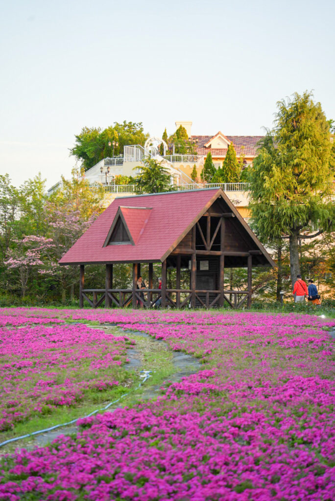 ミササガパーク（猿渡公園） 菜の花 愛知県