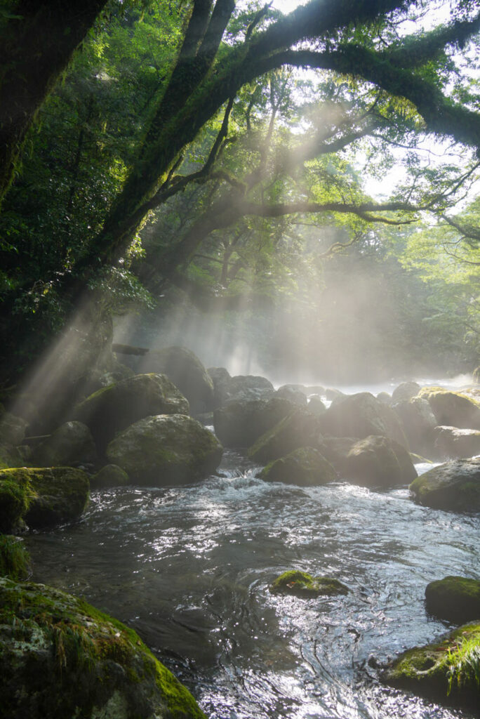 菊池渓谷 広河原 光芒 熊本県