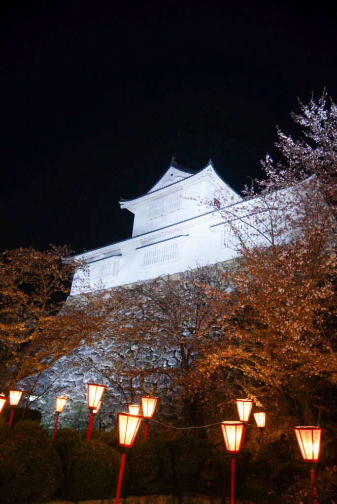 津山城(鶴山公園) 桜 岡山県
