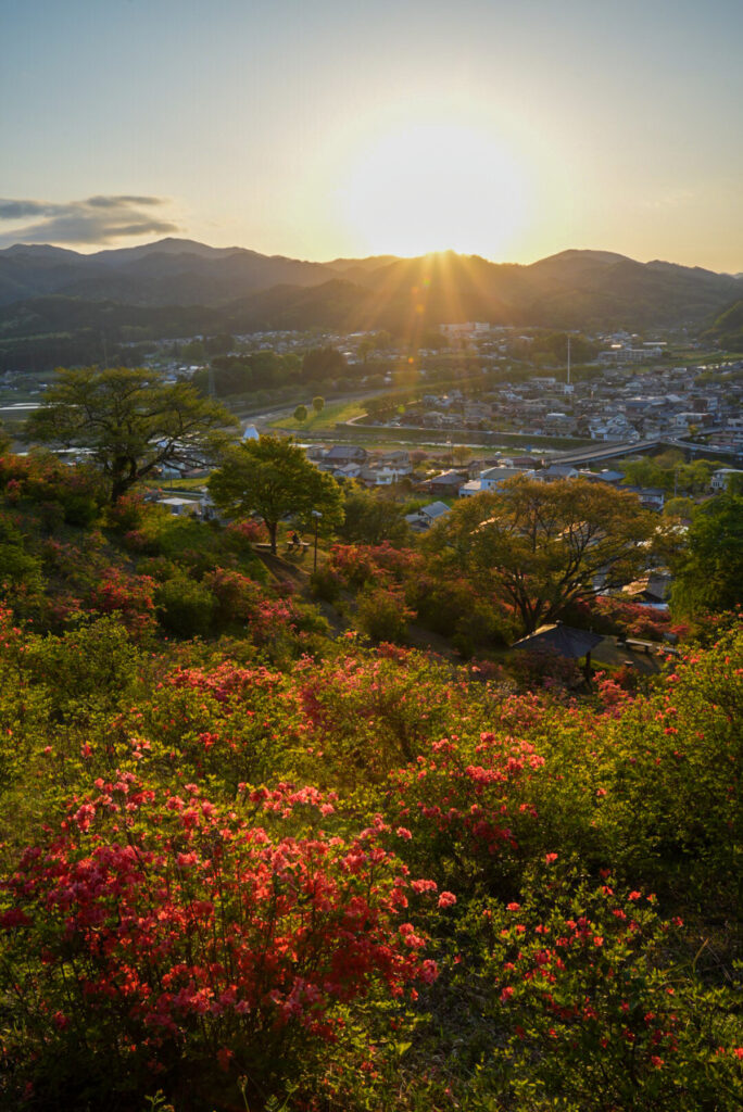 風呂山公園 つつじ 福島県