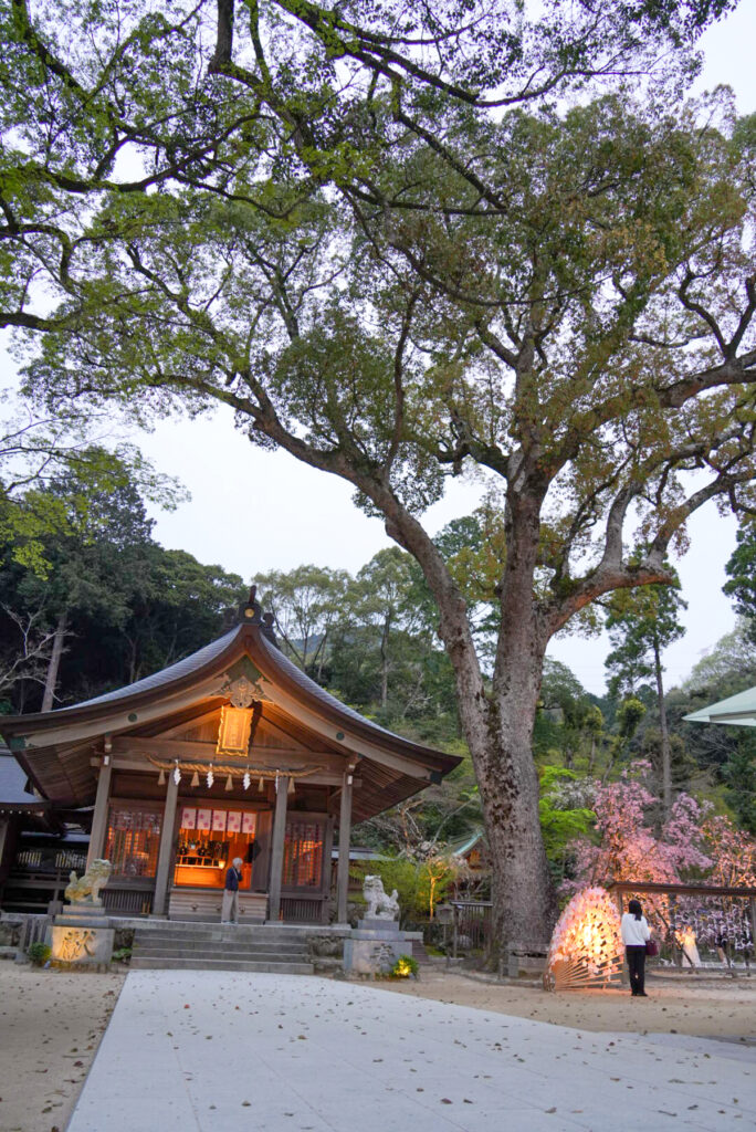宝満宮 竈門神社 福岡県