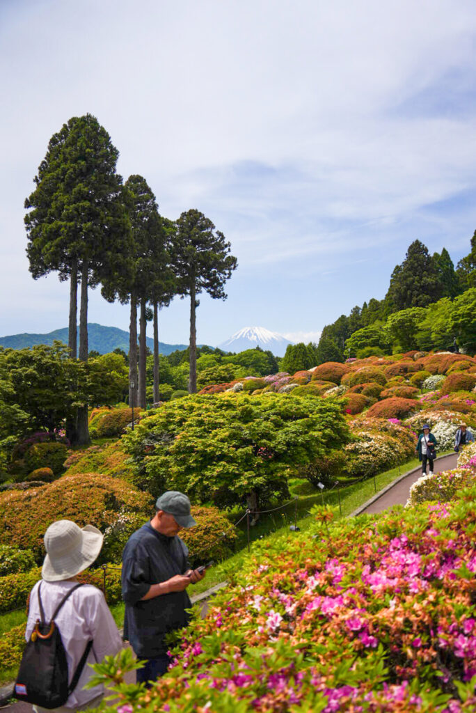 小田急 山のホテル つつじ 神奈川県