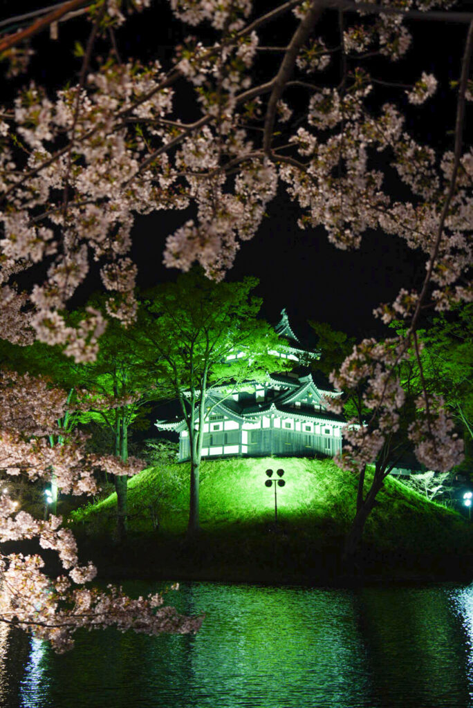 高田城址公園 桜 新潟県